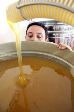 Filtration du miel des Ruchers de Bonnechère