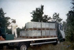 Ruches de Bonnèchere en transhumance par camion